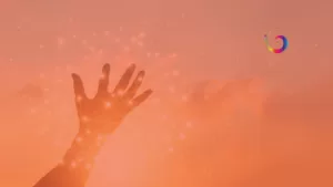 LE CONNECTÉ - Fiche d'identité